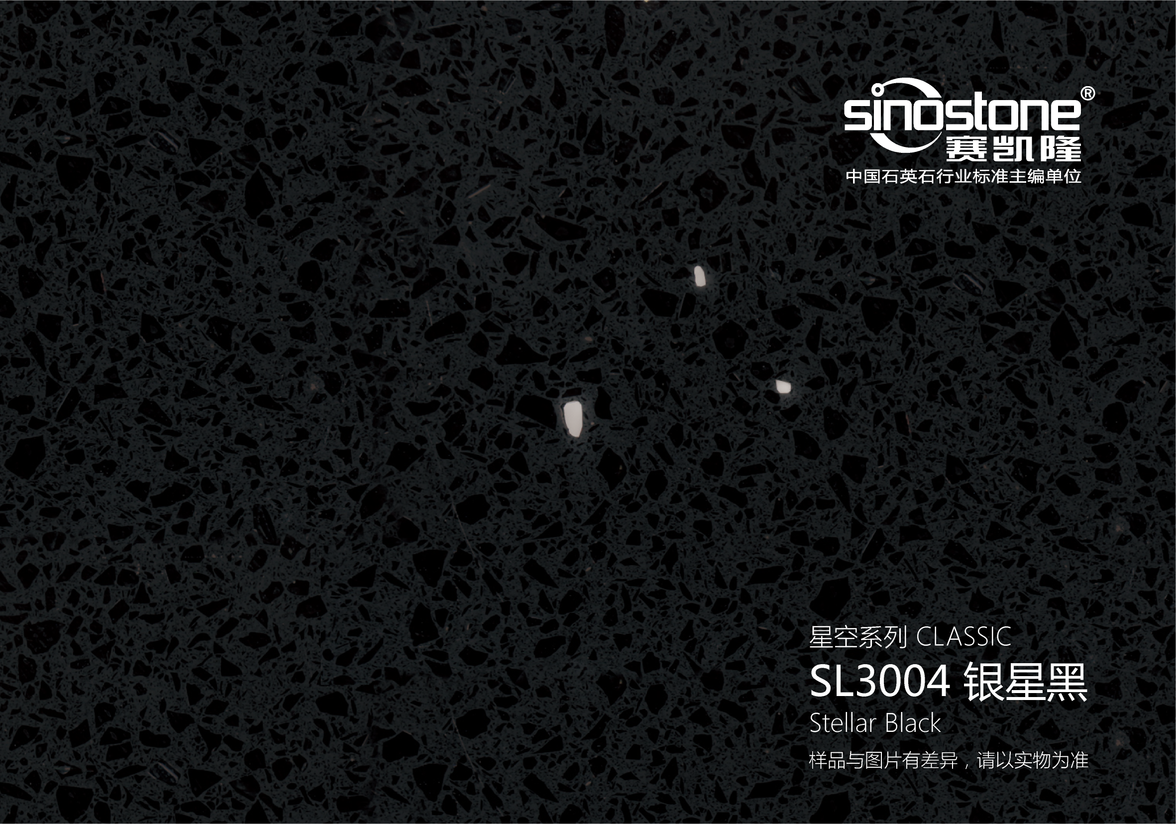 SL3004 銀星黑 Stellar Black.png