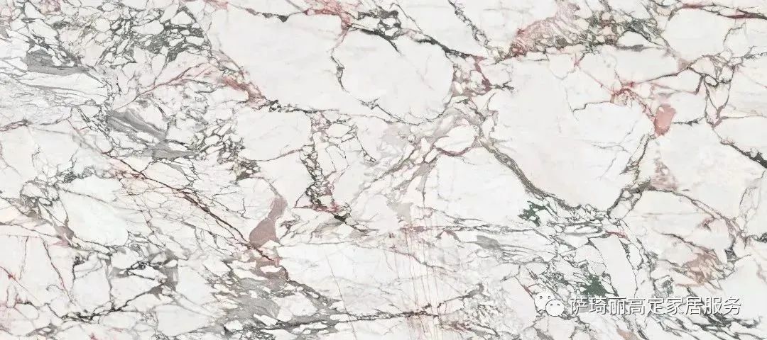 紫羅蘭BHST27724TG-1.jpg 圖片